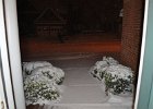 Januar2011 176